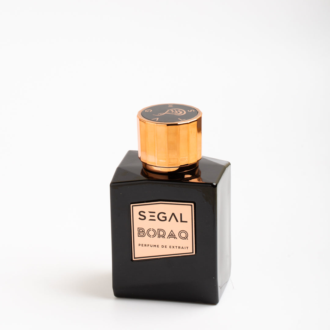Segal - سيجال